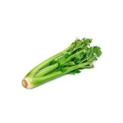 CELERY