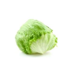 LECHUGA